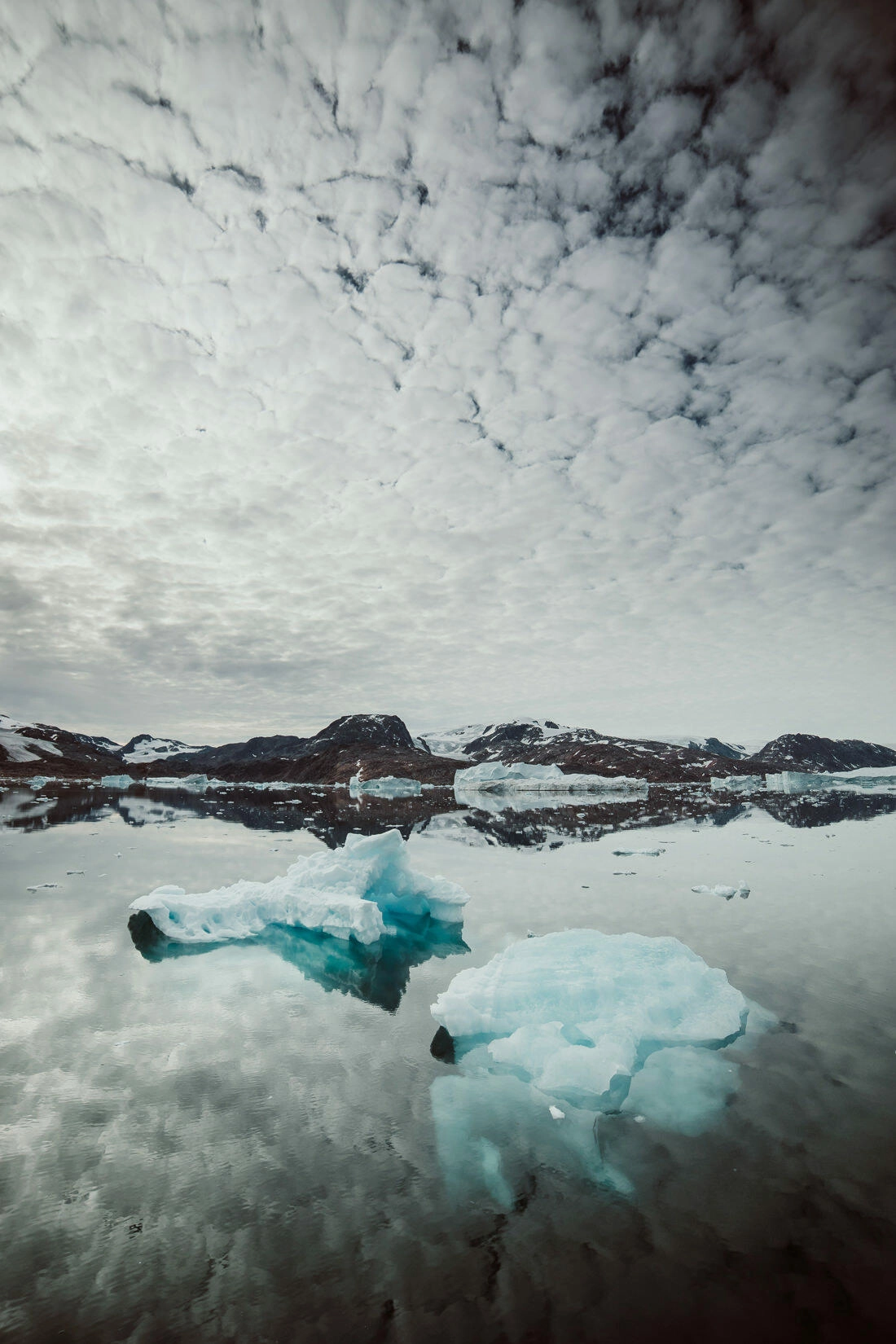 048 greenland arctic sailing expedition - Sailing Expedition in East Greenland 2/3