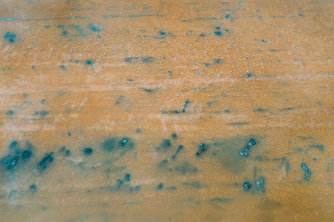 007 saltfields huelva algarve drone areal - Colors & Structures of the Salt Fields
