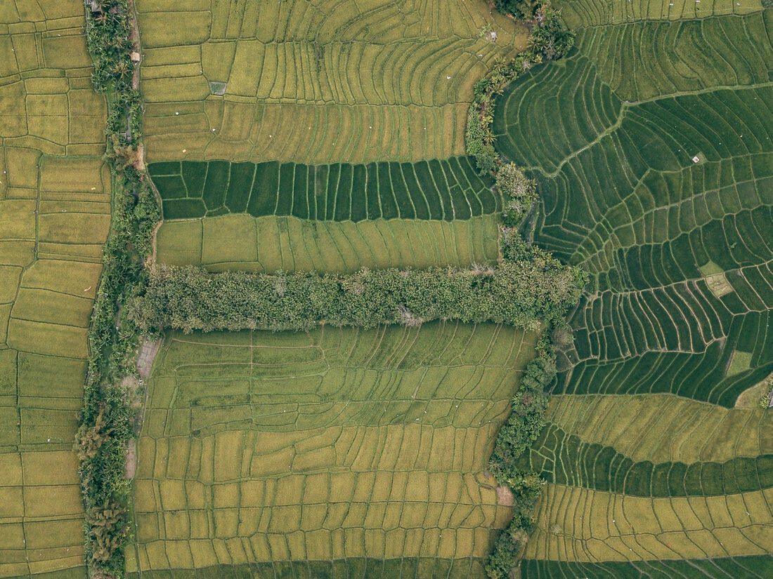 005 bali luftaufnahmen reisterrassen jatiluwih 1 - Bali – Tomas aéreas de terrazas de arroz 005 bali luftaufnahmen reisterrassen jatiluwih 1 - Bali – Tomas aéreas de terrazas de arroz
