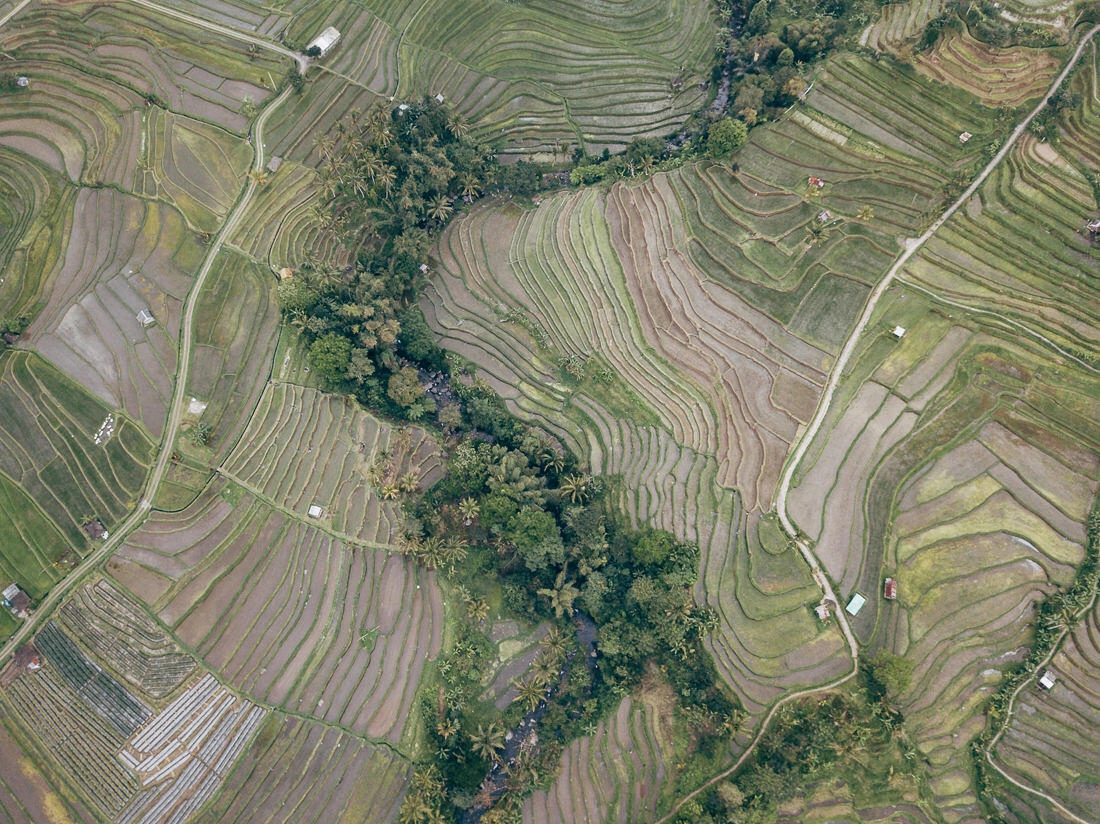 007 bali luftaufnahmen reisterrassen jatiluwih 1 - Bali – Tomas aéreas de terrazas de arroz 007 bali luftaufnahmen reisterrassen jatiluwih 1 - Bali – Tomas aéreas de terrazas de arroz