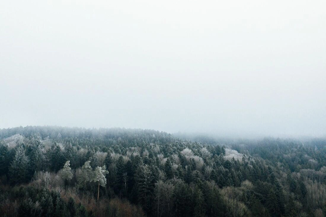 013 luftaufnahme konstanz wald nebel - Aerial Shots Among the Clouds… 013 luftaufnahme konstanz wald nebel - Aerial Shots Among the Clouds…