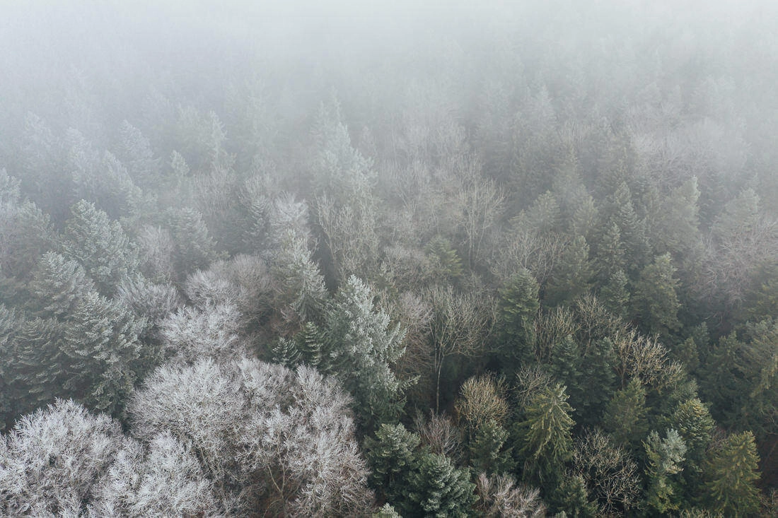 015 hochzeitsfotograf wald luftaufnahme frost - Aerial Shots Among the Clouds… 015 hochzeitsfotograf wald luftaufnahme frost - Aerial Shots Among the Clouds…