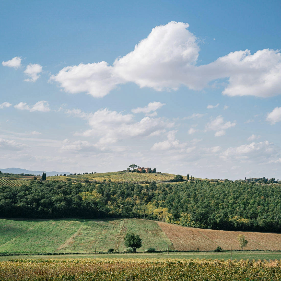 053 toskana valdorcia italien weinberge - Road Trip Through Tuscany (Italy) 053 toskana valdorcia italien weinberge - Road Trip Through Tuscany (Italy)