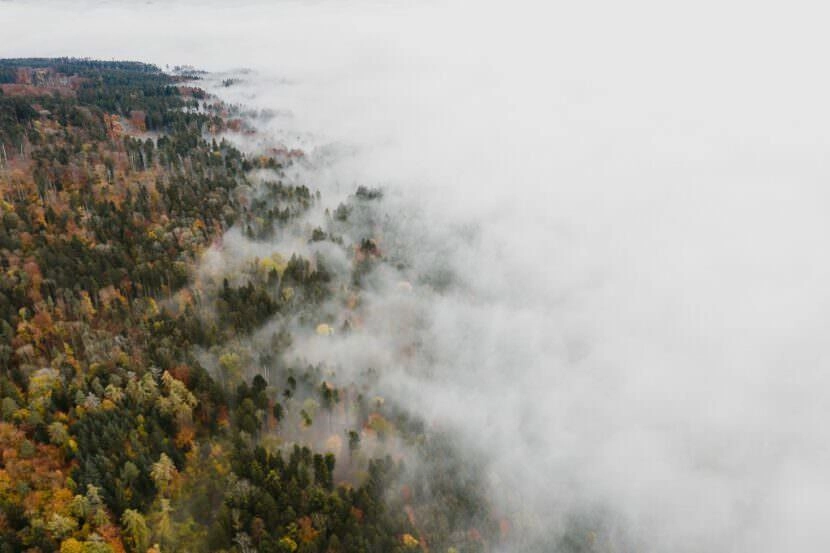 luftaufnahme bodensee gehrenberg herbst