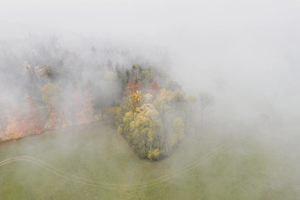 luftaufnahme bodensee gehrenberg herbst 0008 - Autumn Colors at Gehrenberg – Fog and Hues in Flight luftaufnahme bodensee gehrenberg herbst 0008 - Autumn Colors at Gehrenberg – Fog and Hues in Flight