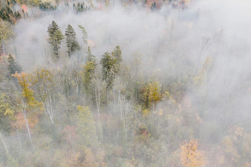 luftaufnahme bodensee gehrenberg herbst 0009 - Autumn Colors at Gehrenberg – Fog and Hues in Flight luftaufnahme bodensee gehrenberg herbst 0009 - Autumn Colors at Gehrenberg – Fog and Hues in Flight