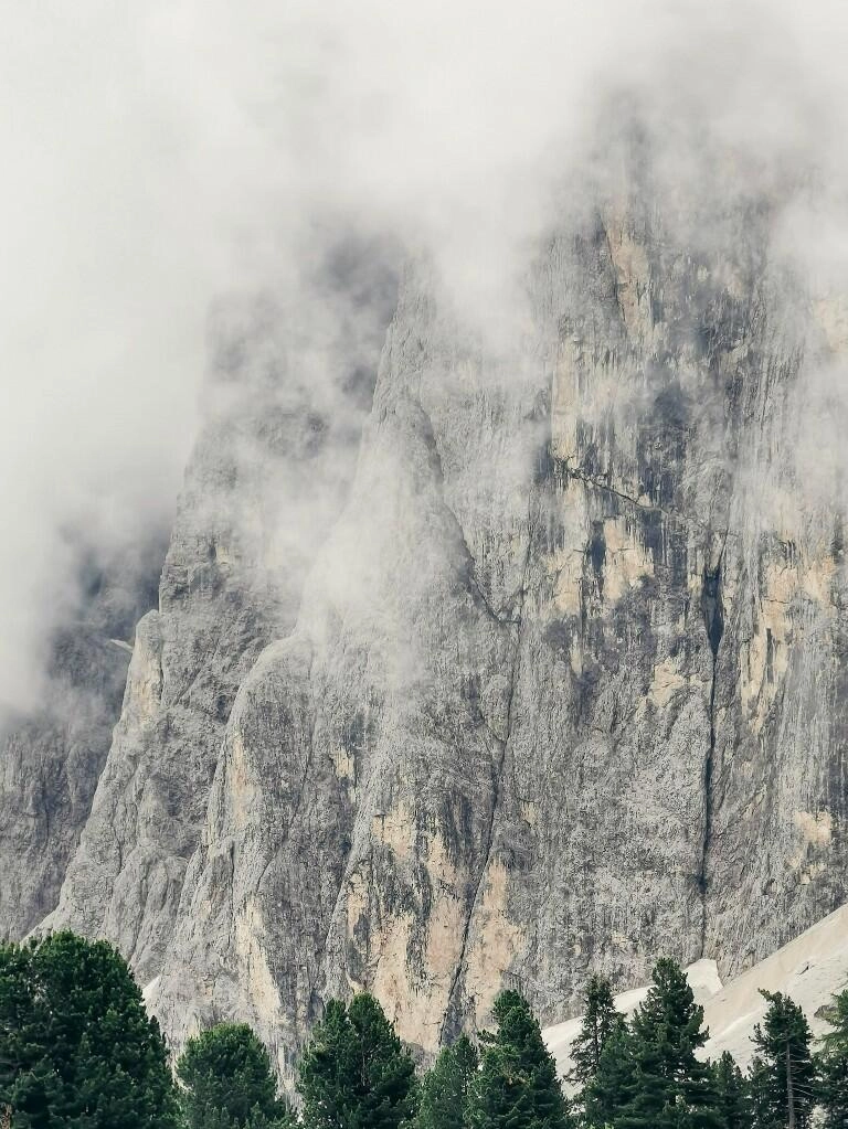 geisler spitzen wolkenwald - Fotos aus meinem Alltag