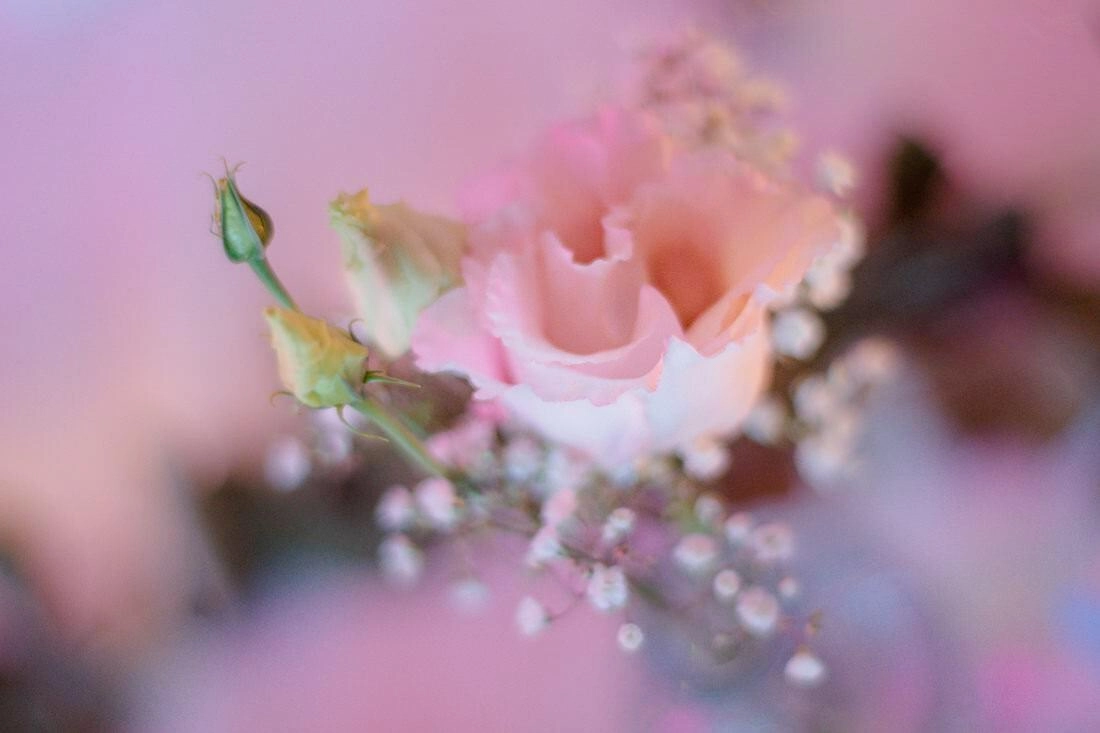 144 hochzeit carina lars web - Carina & Lars