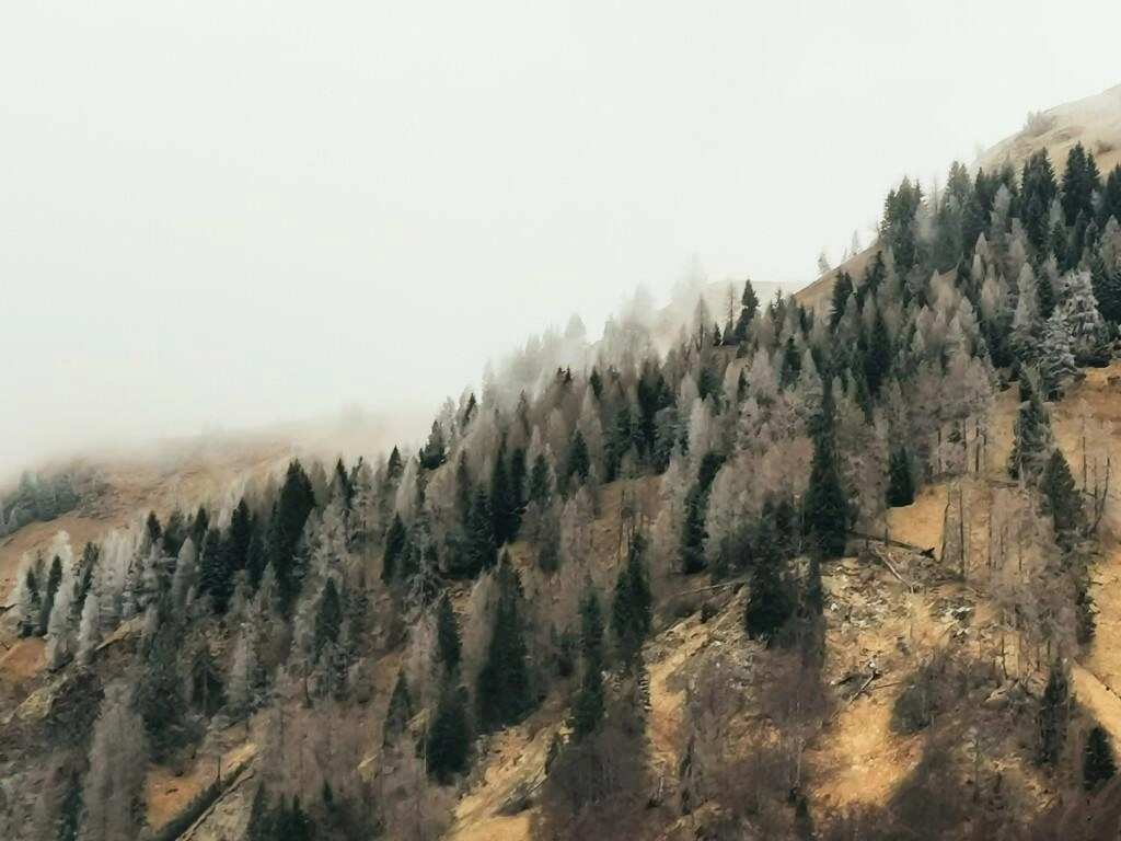 dolomitenwanderung - Fotos aus meinem Alltag