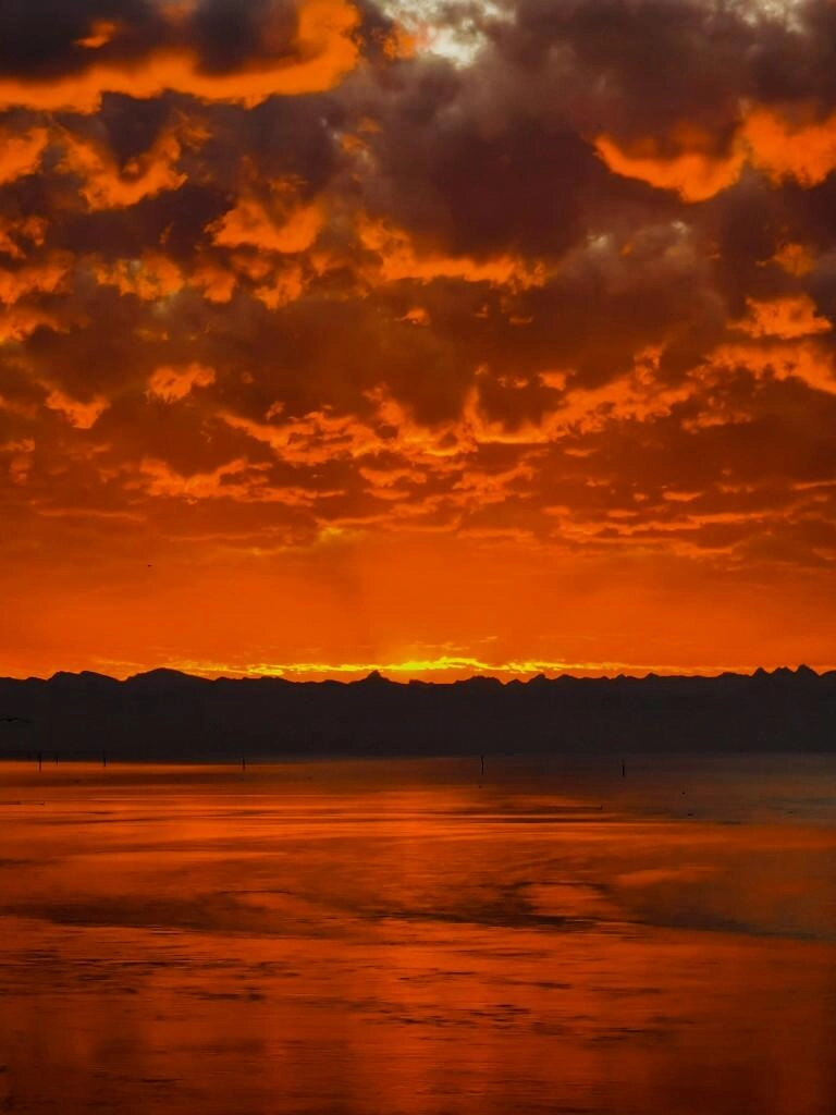 lieblingssonnenaufgang bodensee konstanz - Fotos aus meinem Alltag