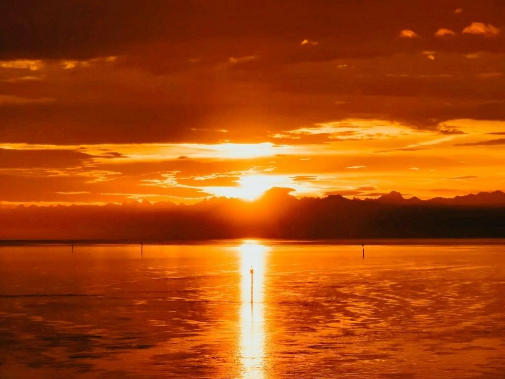 Sonnenaufgang Konstanz Bodensee - Fotos aus meinem Alltag
