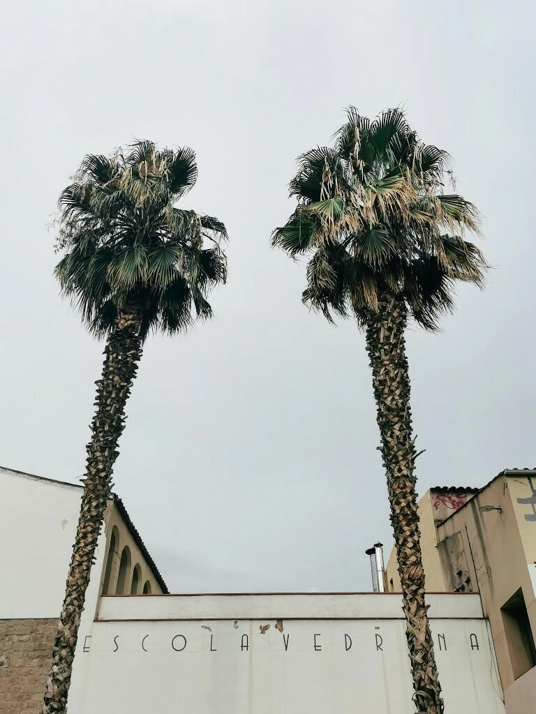 barcelona lieblingsmotiv 1 - Fotos aus meinem Alltag