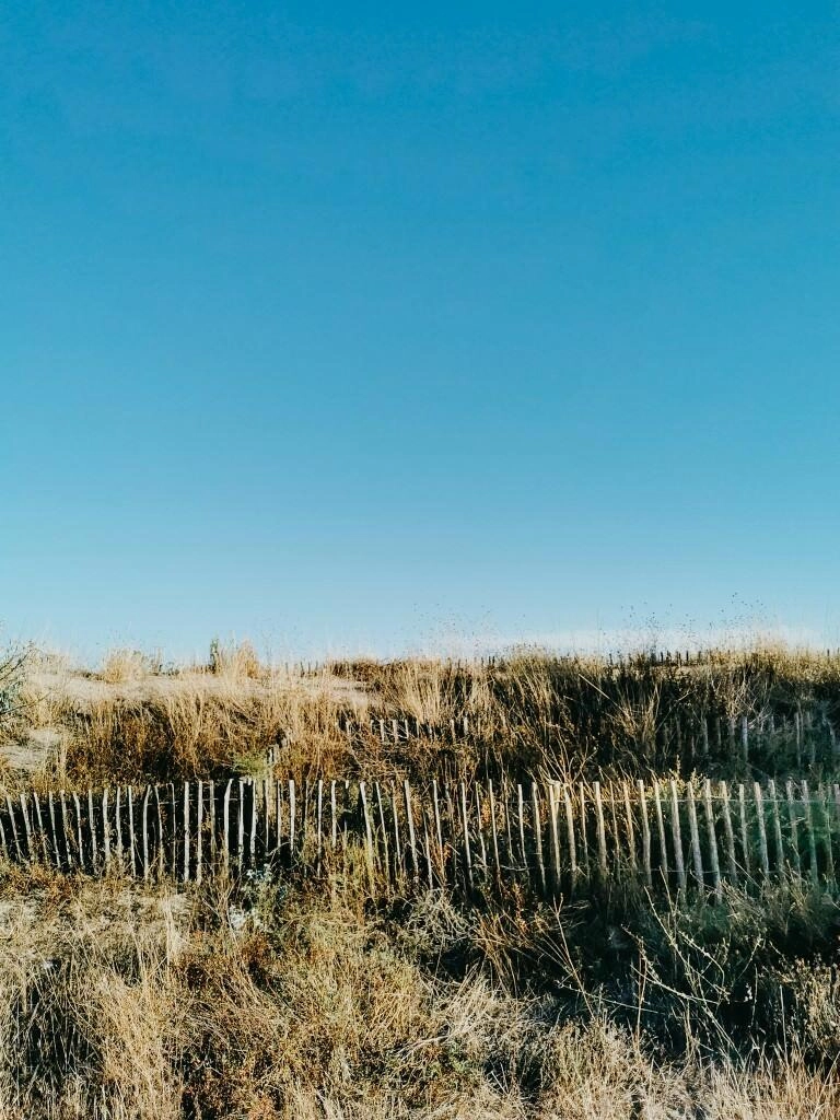 strand duenen frankreich - Fotos aus meinem Alltag
