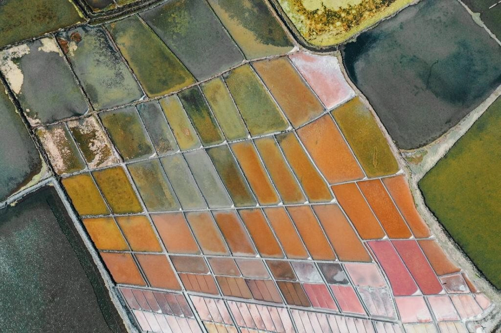 005 aveiro salzfelder portugal drohne 1024x682 - Salt Fields of Aveiro: A Play of Color and Structure 005 aveiro salzfelder portugal drohne 1024x682 - Salt Fields of Aveiro: A Play of Color and Structure
