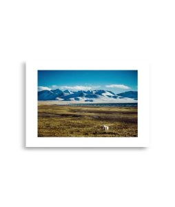 enhanced matte paper poster cm 21x30 cm front 6929a9da14075 254x300 - Poster Tibet