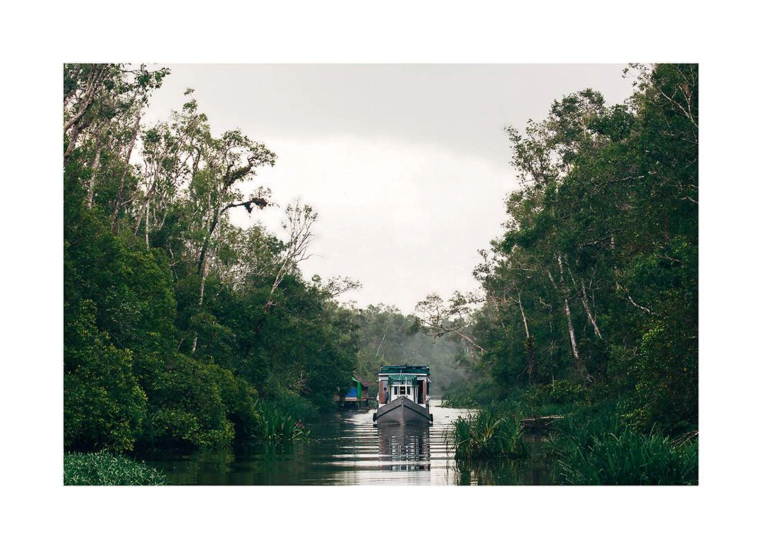 Borneo 01 - Ruhige Bootsfahrt durch das Herz des üppigen Dschungels von Borneo borneo bali 2018 0015 web - Borneo 01 - Ruhige Bootsfahrt durch das Herz des üppigen Dschungels von Borneo