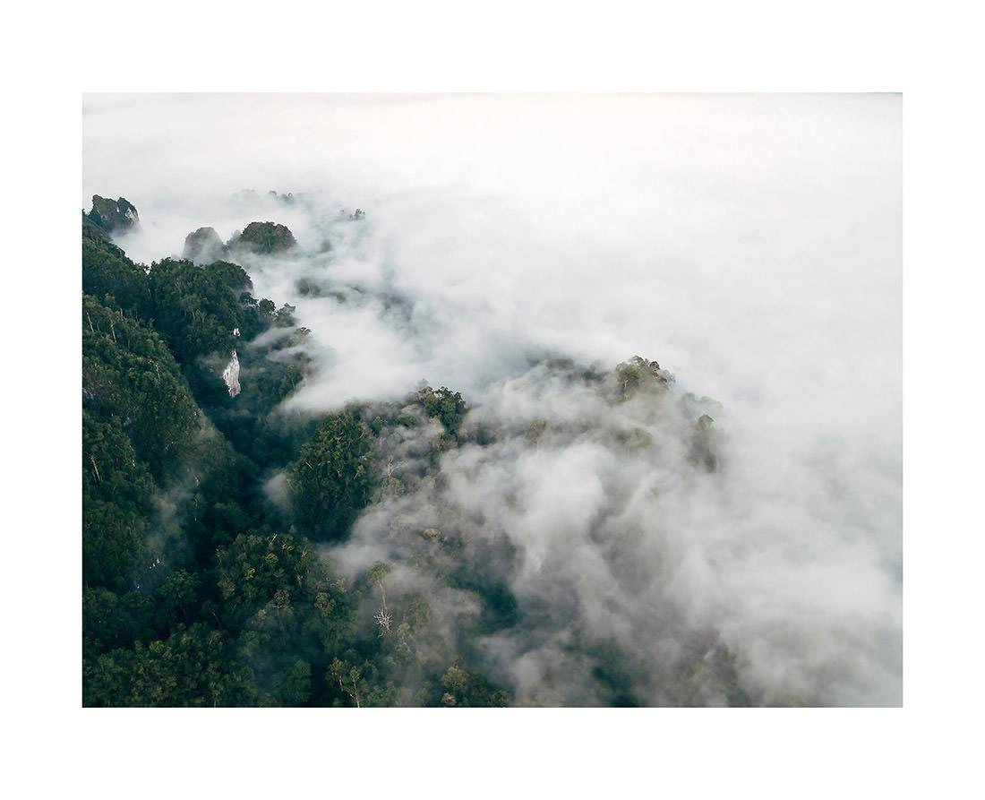 borneo bali 2018 0198 web - Borneo 12 - Mystischer Morgennebel fließt durch das Regenwalddach Borneos beim Sonnenaufgang