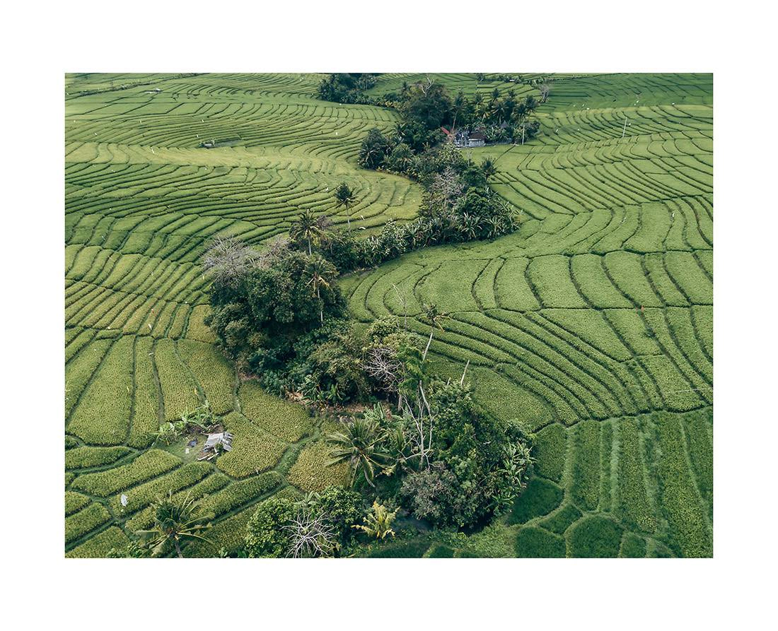 Borneo 15 - Luft-Drohnenblick auf Balis faszinierende Reisterrassen und den gewundenen Fluss borneo bali 2018 0264 web - Borneo 15 - Luft-Drohnenblick auf Balis faszinierende Reisterrassen und den gewundenen Fluss