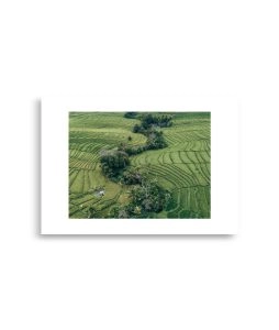 enhanced matte paper poster cm 21x30 cm front 692d699dac838 254x300 - Poster Asien