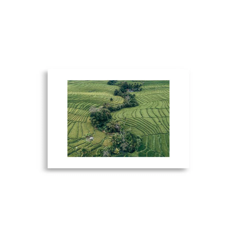 enhanced matte paper poster cm x cm front ddac.jpg enhanced matte paper poster cm x cm front ddac.jpg