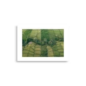 enhanced matte paper poster cm x cm front deb.jpg enhanced matte paper poster cm x cm front deb.jpg