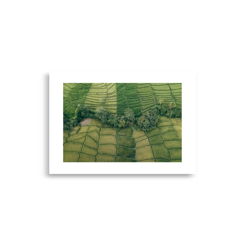 enhanced matte paper poster cm x cm front deb.jpg