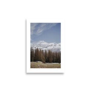 enhanced matte paper poster cm x cm front dedb.jpg enhanced matte paper poster cm x cm front dedb.jpg