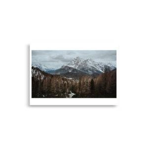 enhanced matte paper poster cm x cm front dea.jpg