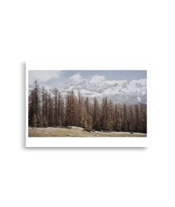 enhanced matte paper poster cm 21x30 cm front 692d7e92dbe06 254x300 - Poster Dolomiten
