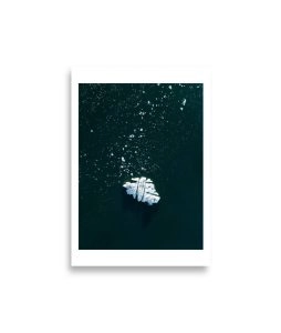 enhanced matte paper poster cm 21x30 cm front 692d980921763 254x300 - Poster Island