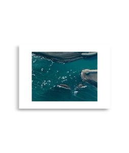 enhanced matte paper poster cm 21x30 cm front 692d980991350 254x300 - Poster Island