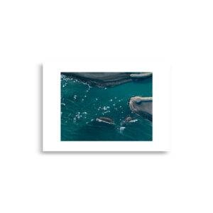 enhanced matte paper poster cm x cm front d.jpg enhanced matte paper poster cm x cm front d.jpg