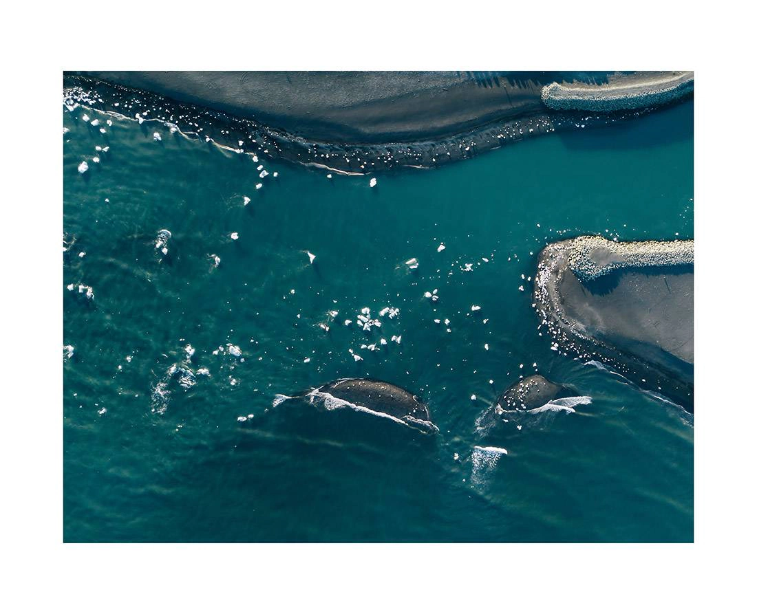 island 0021 web - Island 21 - Treibende Eisberge in der Gletscherlagune Jökulsárlón