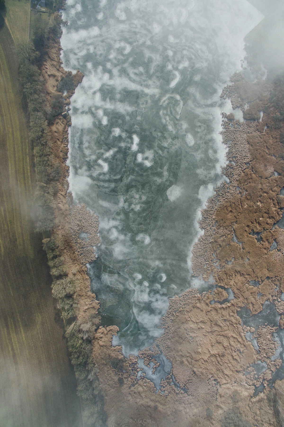 drohne luftbildaufnahmen oberschwaben altshauser weiher 0002 - Luftaufnahmen Altshauser Weiher