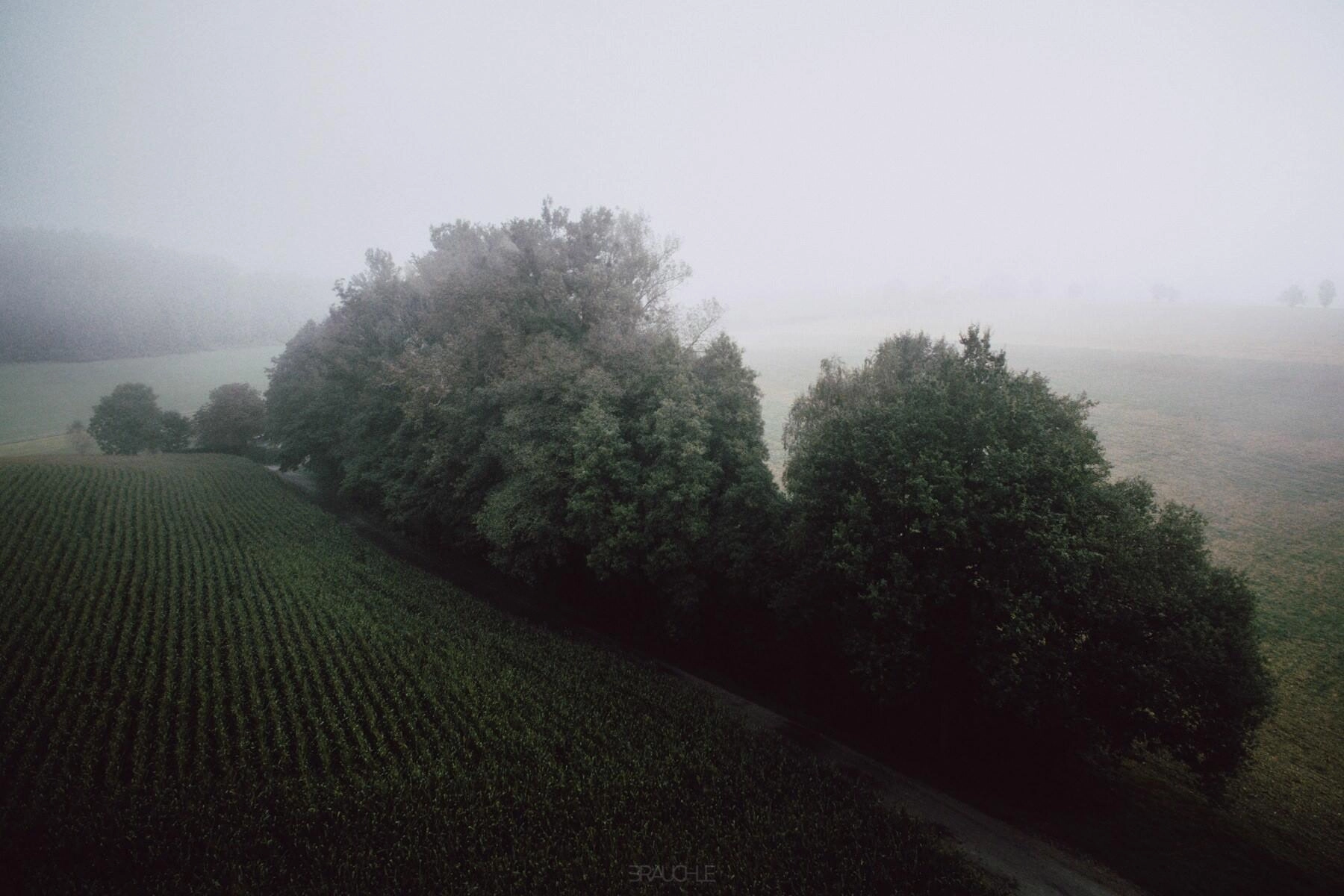 gehrenberg turm nebel drohne 0001 - Nebellandschaften am Gehrenberg