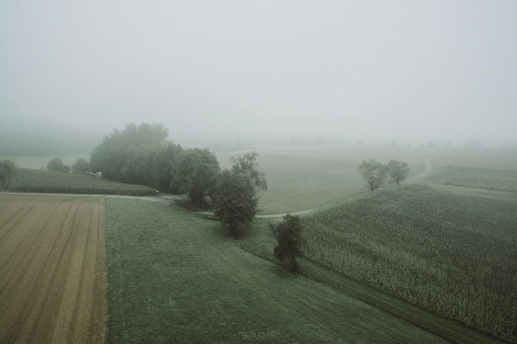 gehrenberg turm nebel drohne 0004 - Nebellandschaften am Gehrenberg