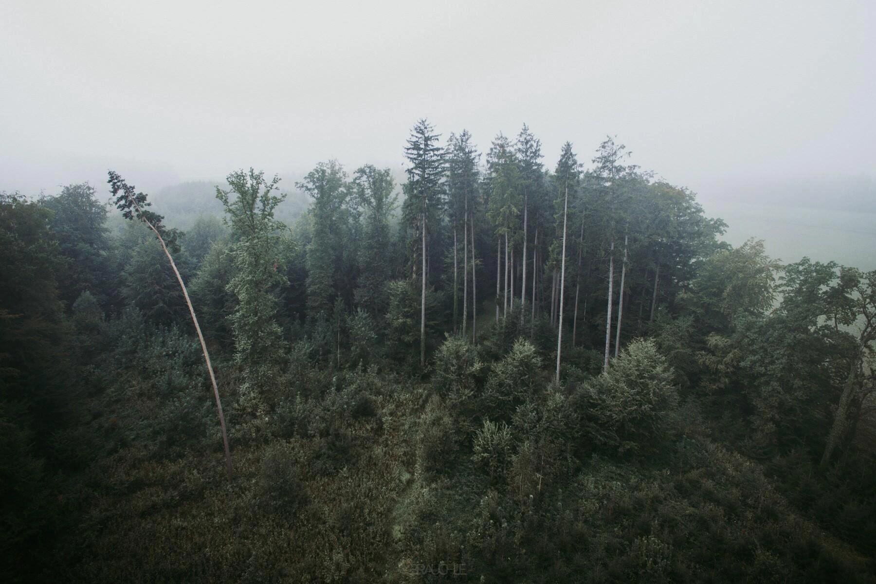 gehrenberg turm nebel drohne 0005 - Nebellandschaften am Gehrenberg
