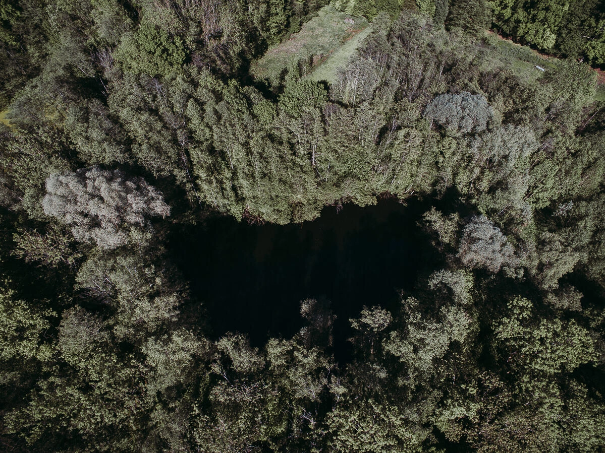 hochzeitsfotograf konstanz luftaufnahmen bodensee 0008 - Luftaufnahmen vom Torfgebiet bei Immenstaad