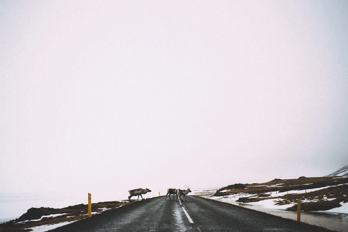 hofn stokksnes stafafell djupivogur 0013 - Iceland – Road Trip to the East