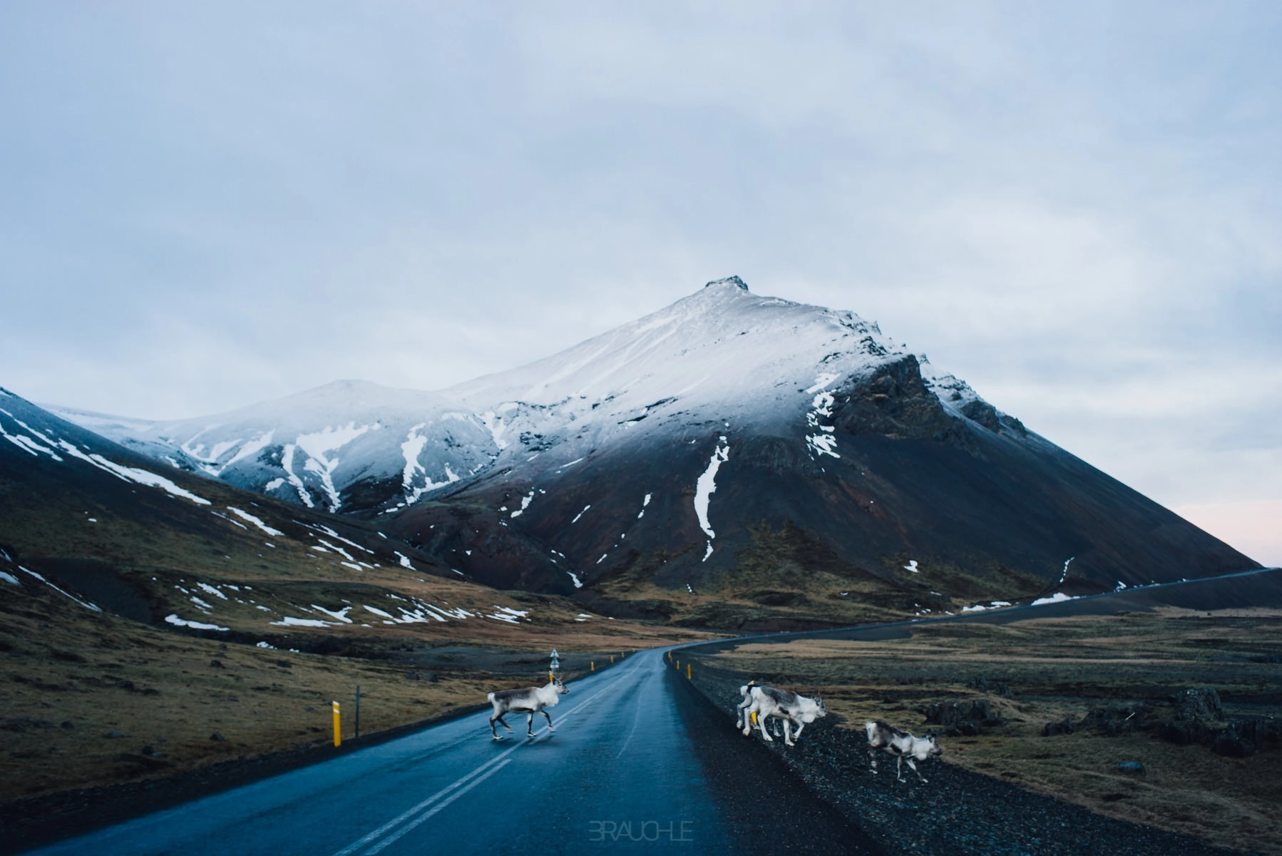 iceland east fjords ringroad roadtrip 16 - On the Way to the East Fjords