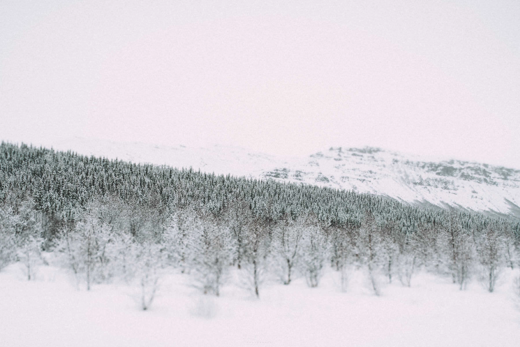 iceland fludir arborg 0019 - Iceland – Snowstorm between Fludir and the Highlands