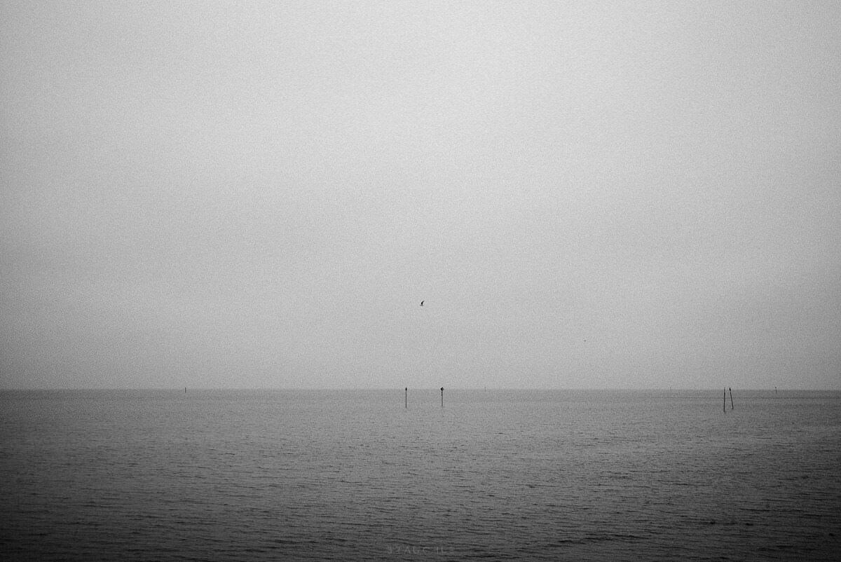 konstanz friedrichshafen bodensee hochzeitsfotograf schwarzweiss 0005 - Unterwegs zwischen Friedrichshafen und Konstanz