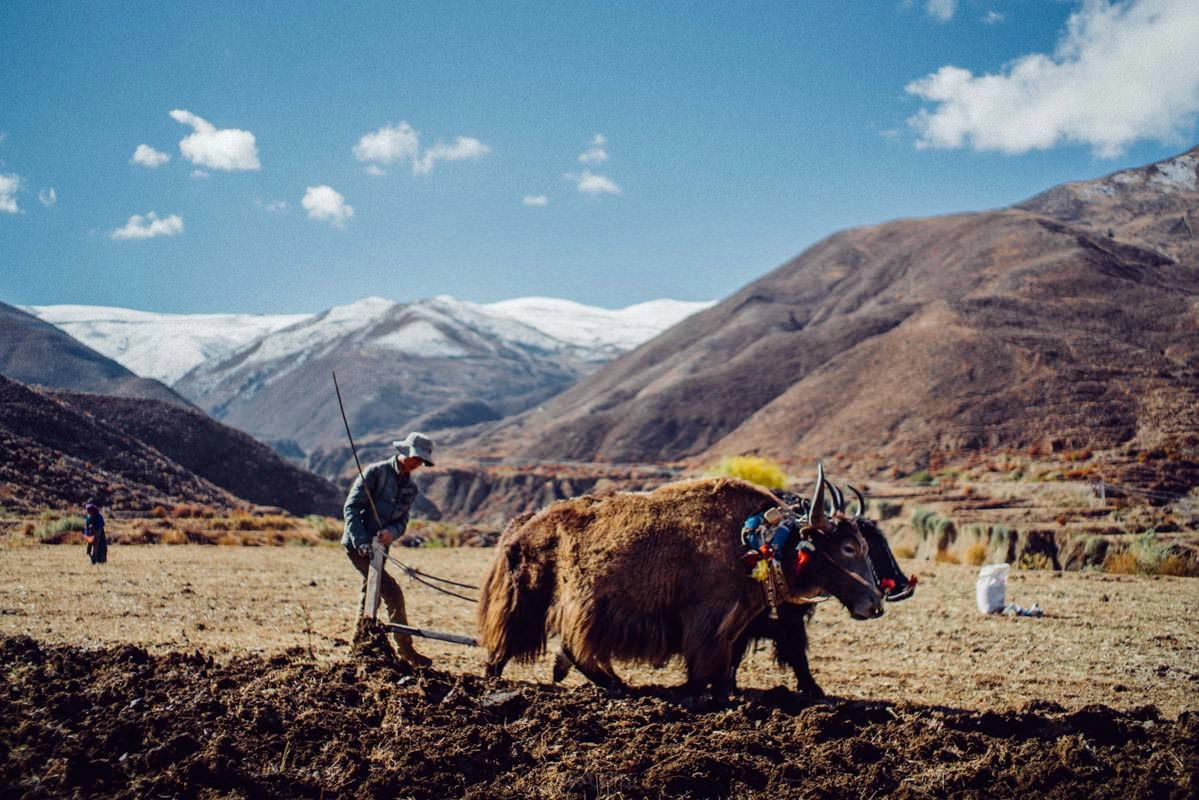 lhasa gyantse namdrok tso tibet 0006 - Lhasa nach Gyantse