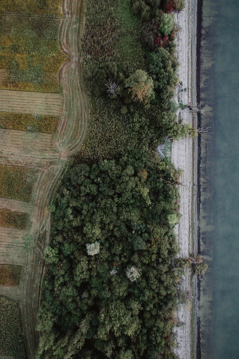 luftaufnahme bodensee eriskircher ried 0003 - Luftaufnahmen vom Eriskircher Ried