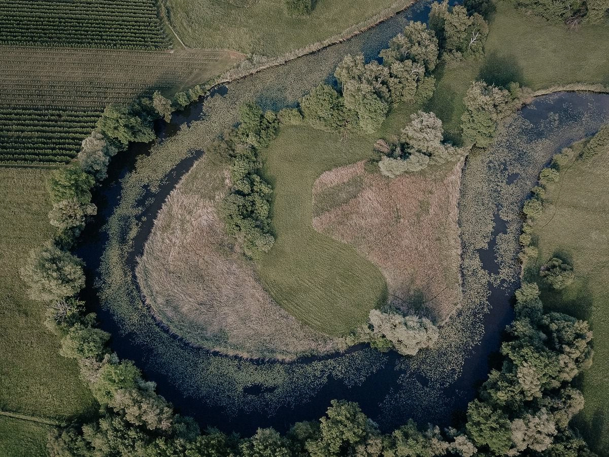 luftaufnahmen drohne bodensee eriskircher ried 0002 - Luftaufnahmen vom Eriskircher Ried