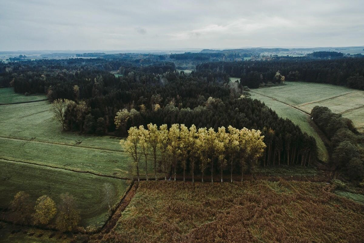 luftaufnahmen oberschwaben ebersbach musbach 0003 - Luftaufnahmen von Ebersbach-Musbach