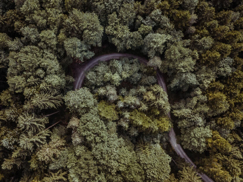 luftbild drohne bodensee gehrenberg wald 0003