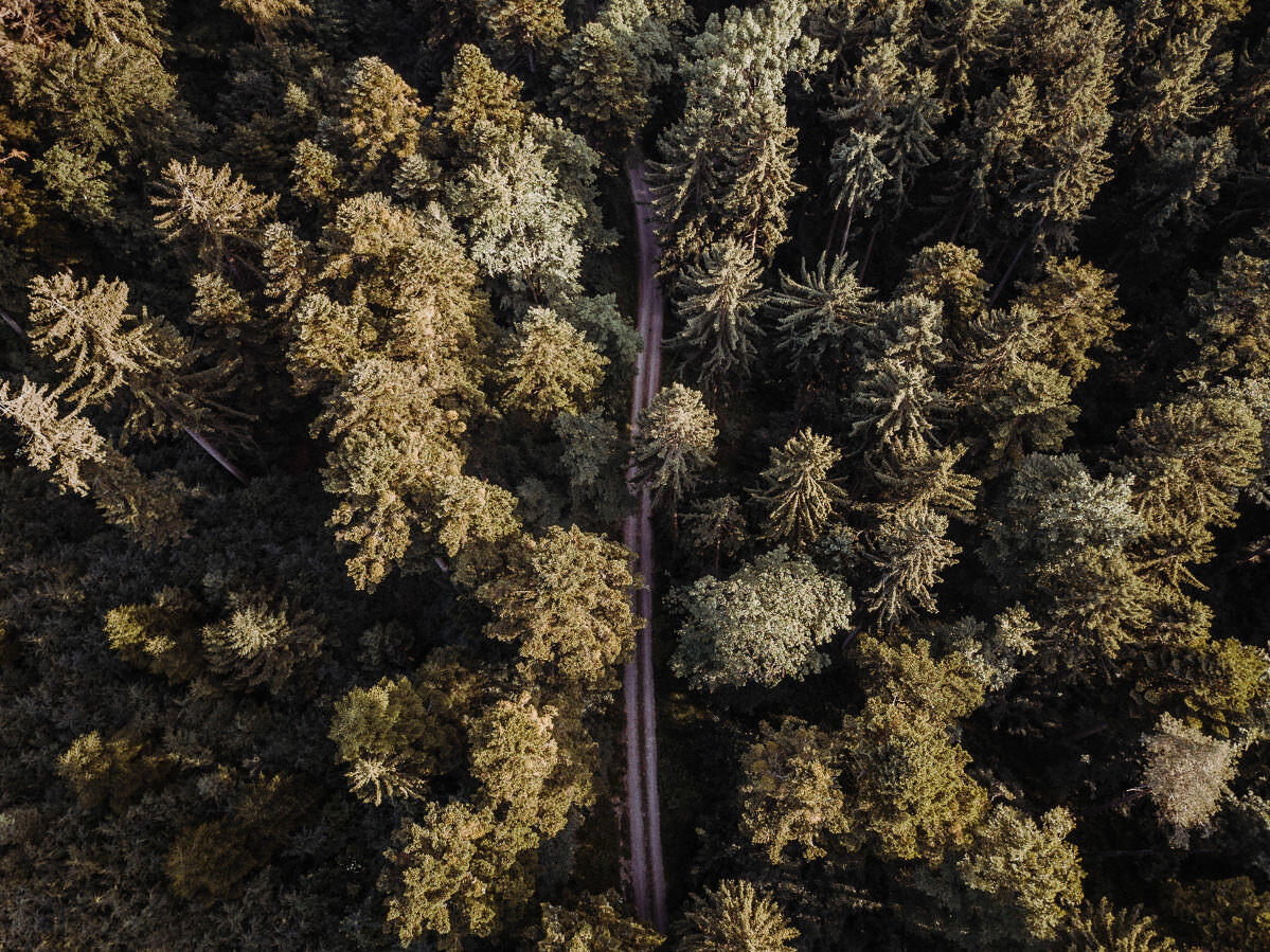 luftbild drohne bodensee gehrenberg wald 0013 - Luftaufnahmen vom Gehrenberg