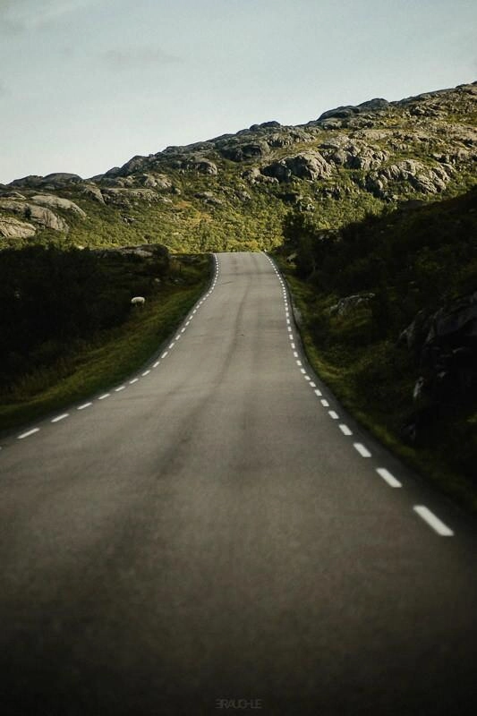 norwegen lofoten reine fjorde 91 - Lofoten - Roadtrip der Küste entlang