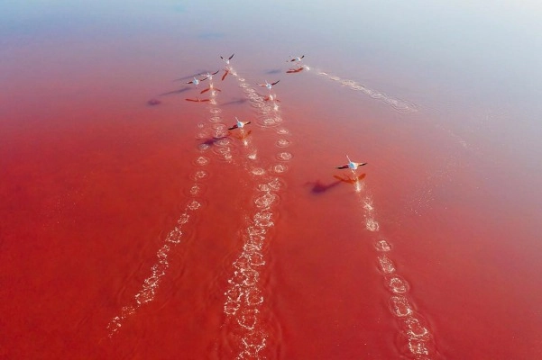 034 saltfields huelva algarve drone areal - Thomas Brauchle – Photography and Aerial Views from Around the World